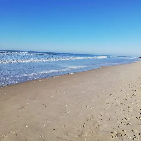 Le Sandettie A 50m De La Plage! 포르마옹플라주