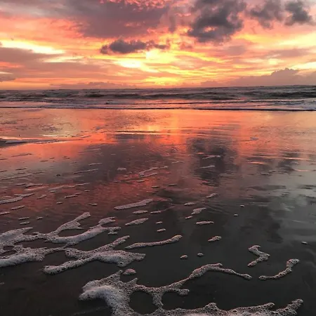 Lägenhet Le Sandettie A 50m De La Plage!